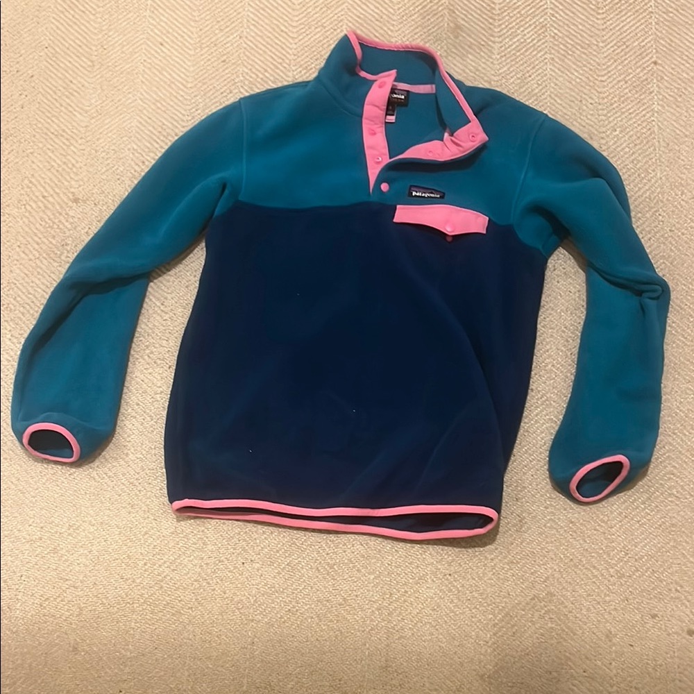 Patagonia Blue and Pink Fleece Pullover